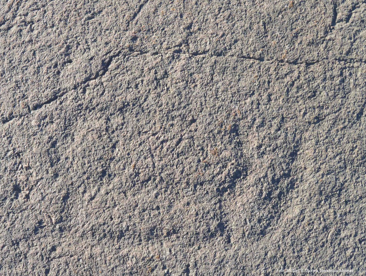 BMR 2262 H40 Omr2 Fig5.jpg