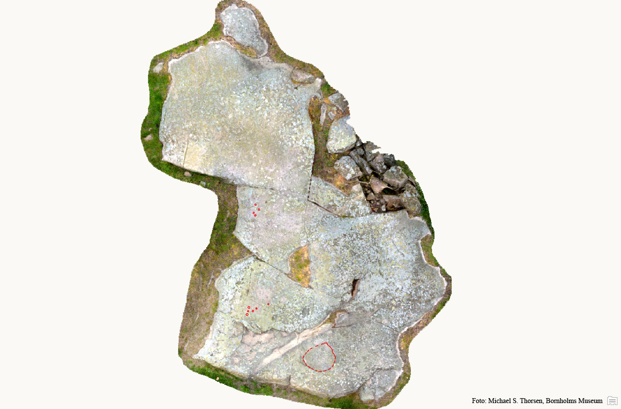 BMR 2262 H8 Fig1.jpg