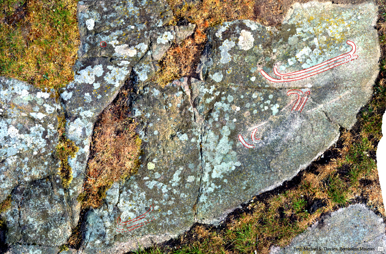 BMR 2262 H50 Fig3.jpg