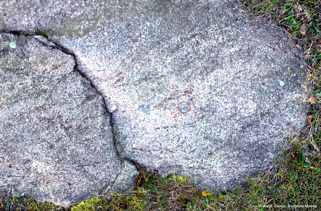 BMR 2262 H41b Fig3.jpg