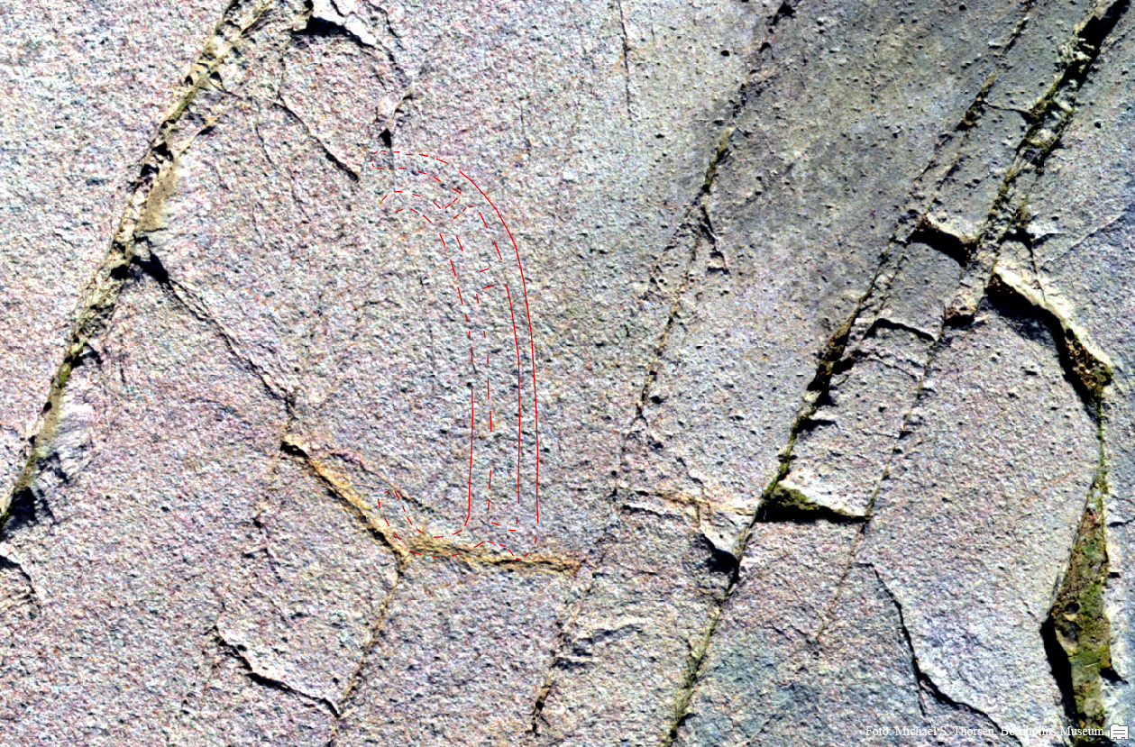 BMR 2262 H40 Omr3 Fig1.jpg