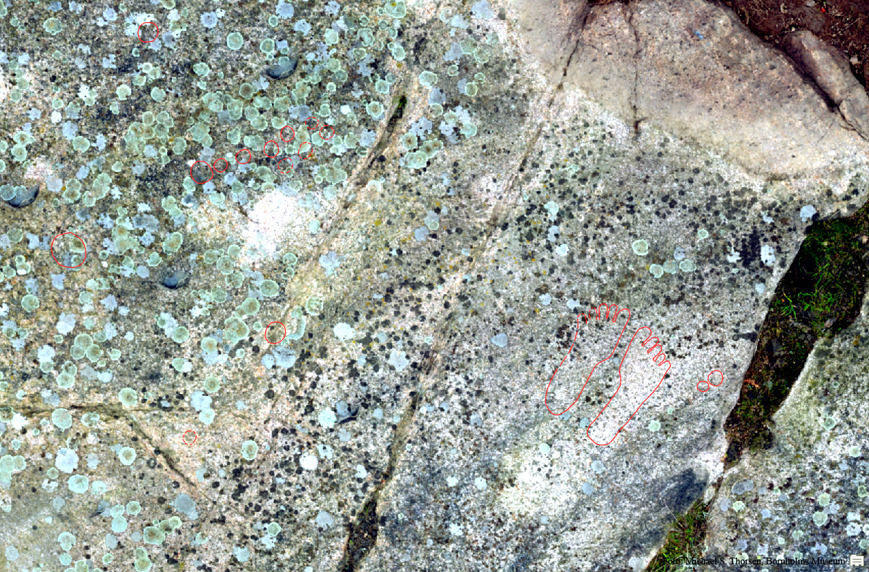 BMR 2262 H36 Fig2.jpg