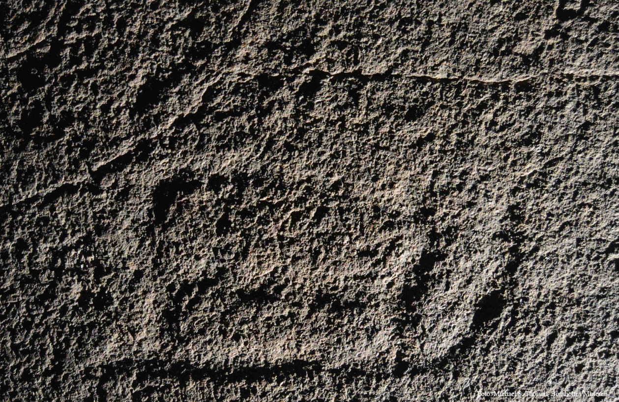 BMR 2262 H40 Omr2 Fig3.jpg