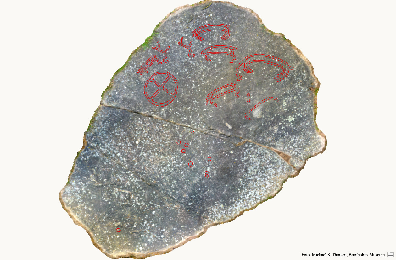 BMR 2262 H37 Fig1.jpg