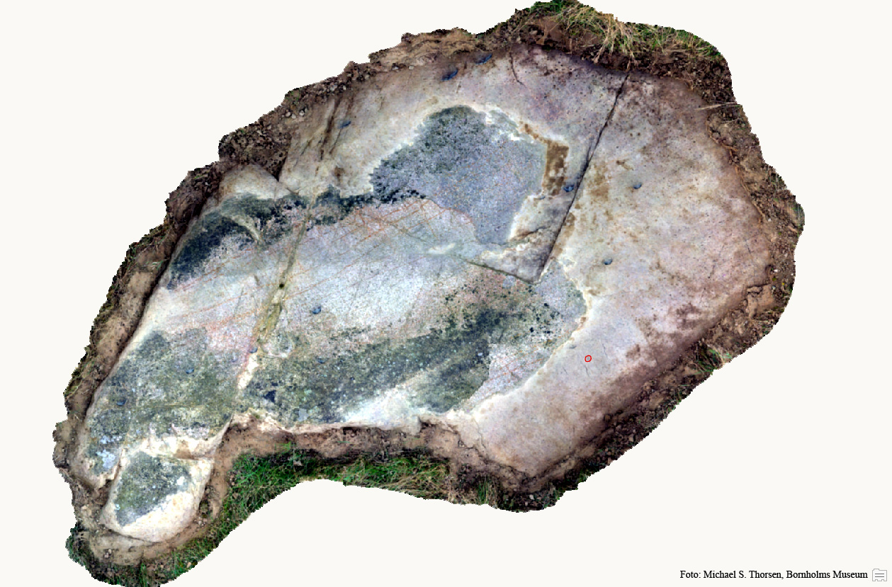 BMR 2262 H24 Fig1.jpg