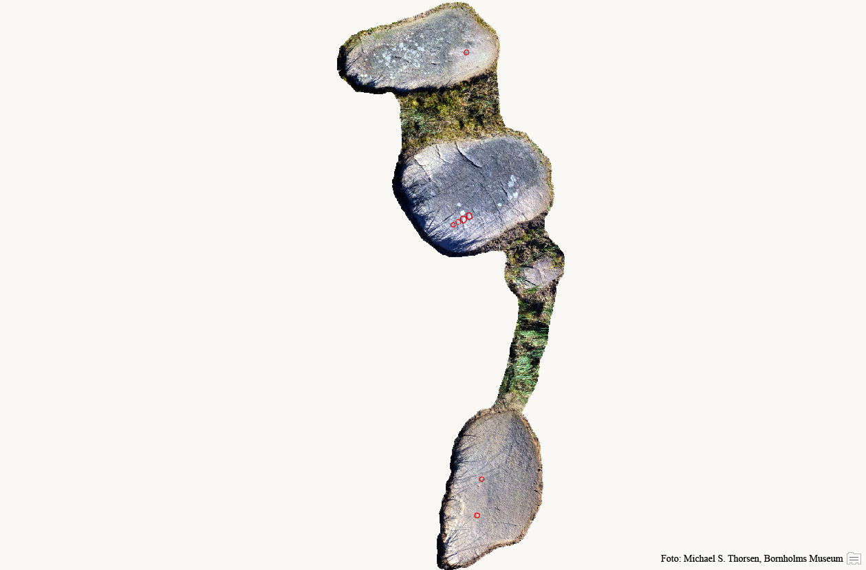 BMR 2262 H46 Fig1.jpg