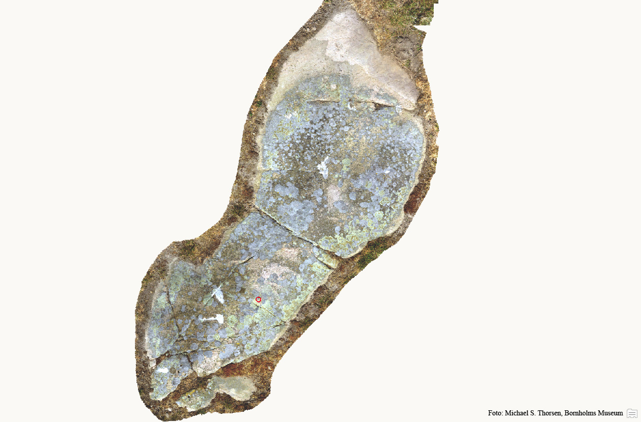 BMR 2262 H48 Fig1.jpg