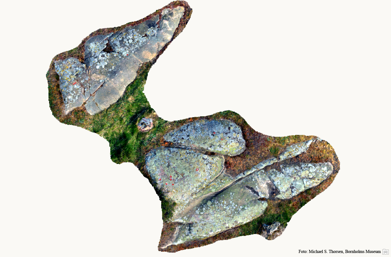 BMR 2262 H3 Fig1.jpg