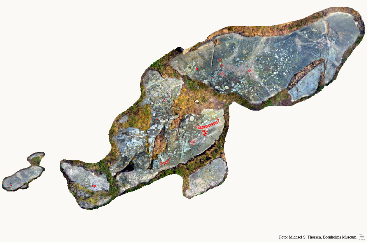 BMR 2262 H50 Fig1.jpg