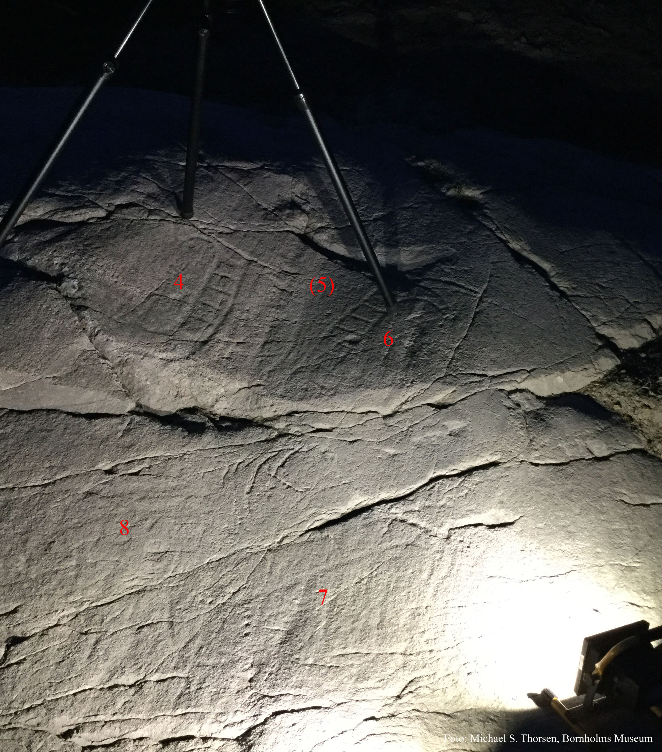 BMR 2262 H72 Omr2 Fig4.jpg