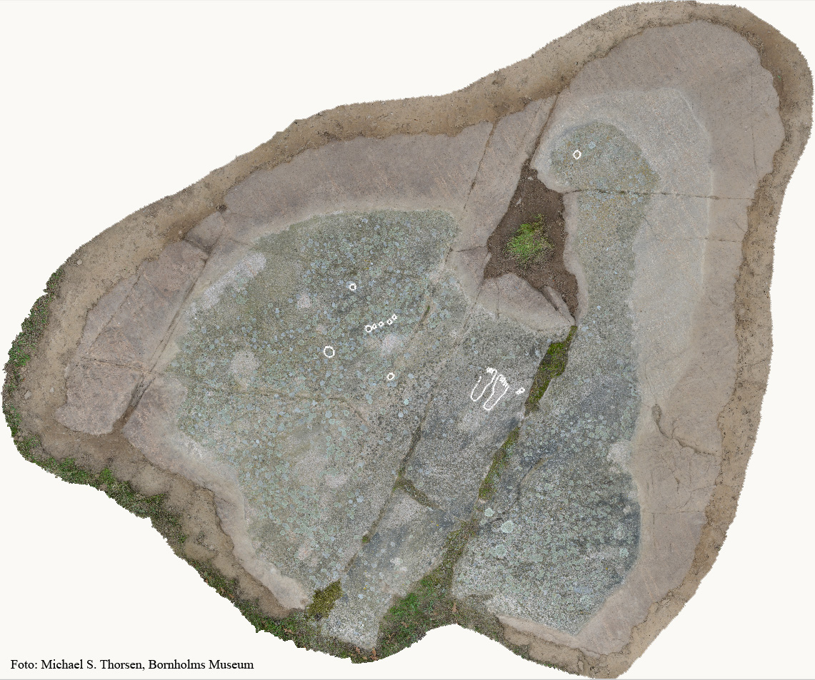 BMR 2262 H36 Fig1.jpg