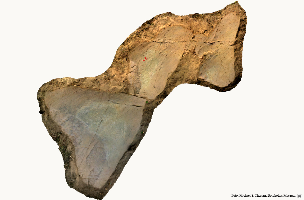 BMR 2262 H81 Fig1.jpg