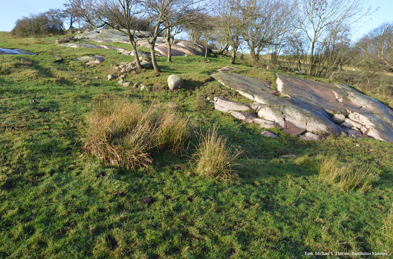 Natur20211206 Fig3.jpg