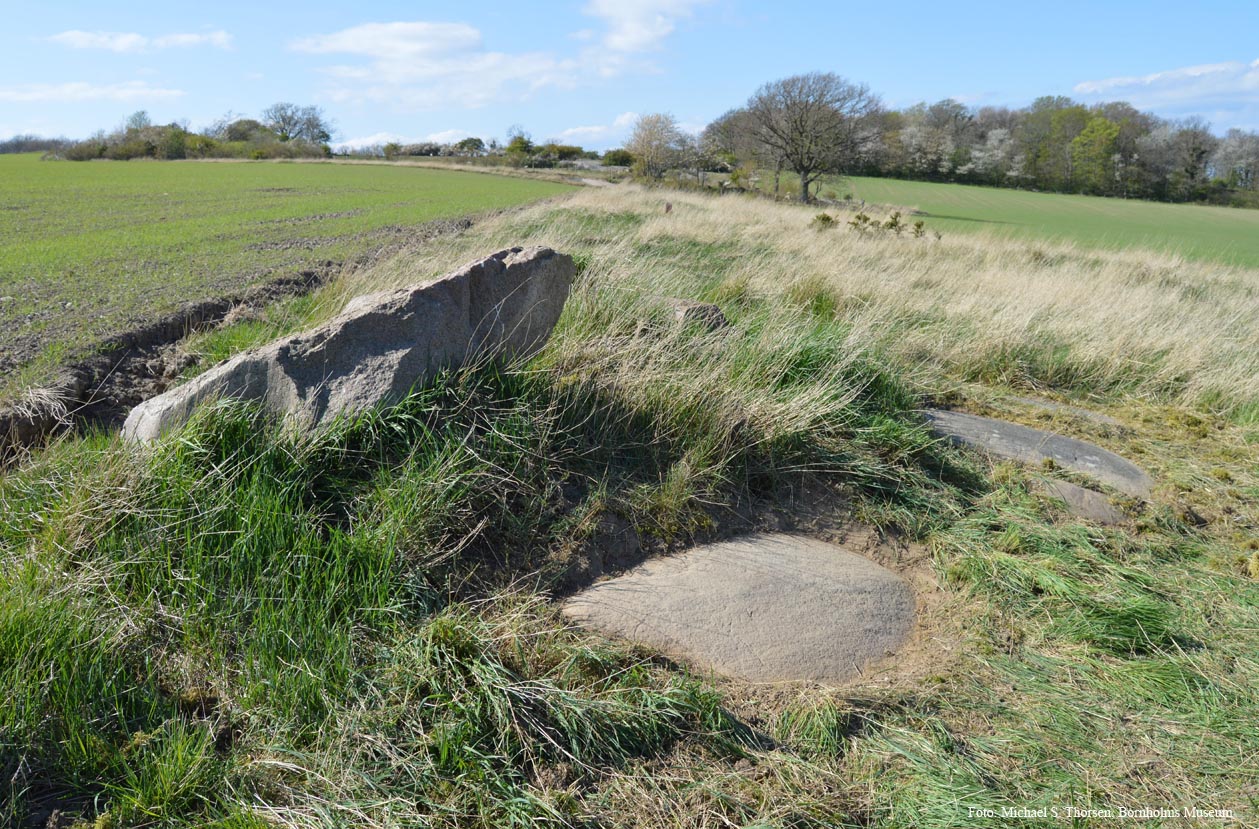 BMR 2262 H46 Fig3.jpg