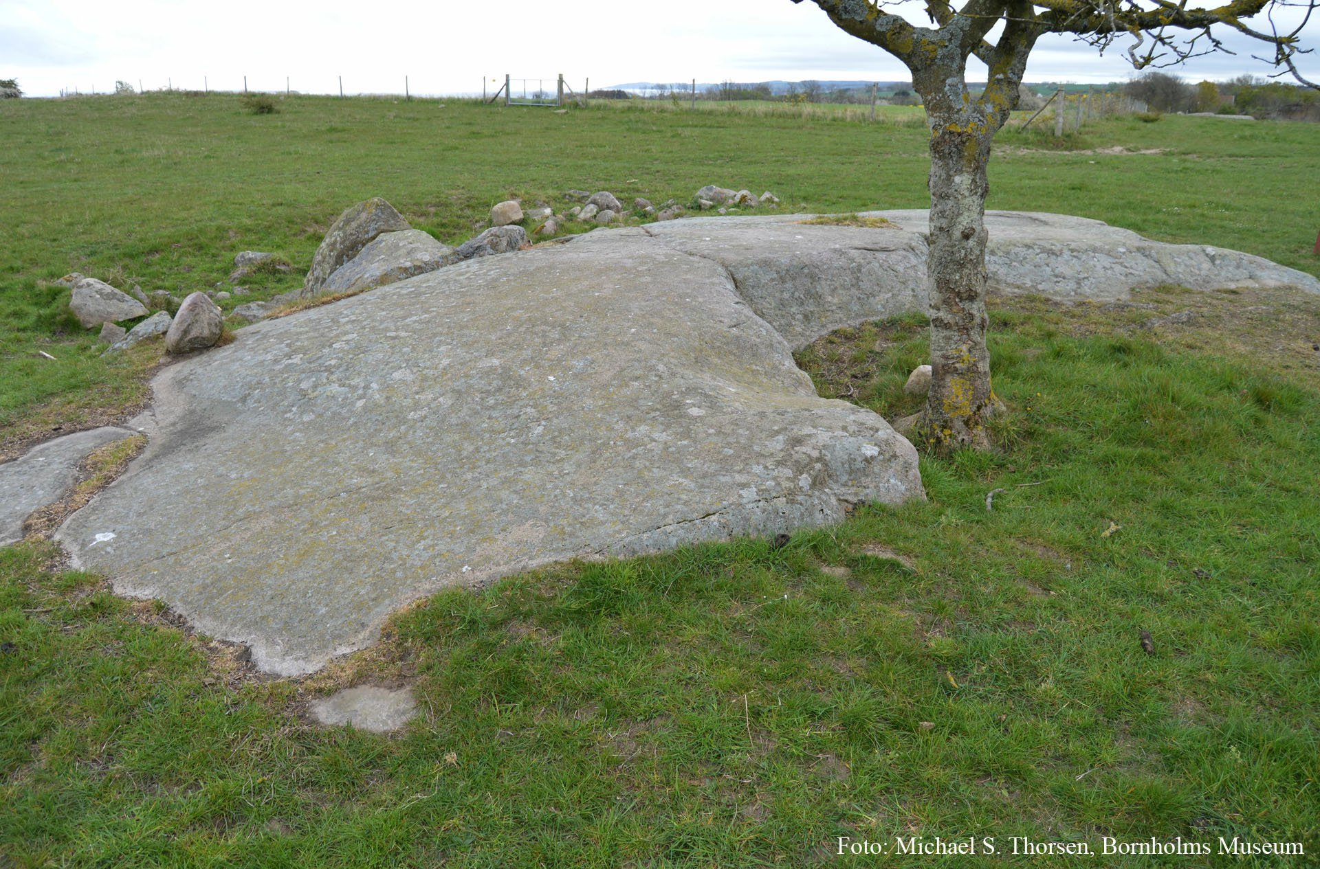 BMR 2262 H8 Fig4.jpg