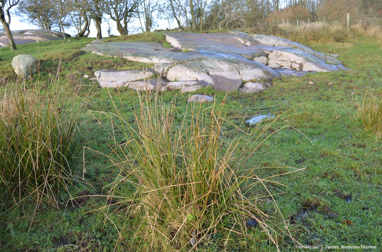 Natur20211206 Fig2.jpg