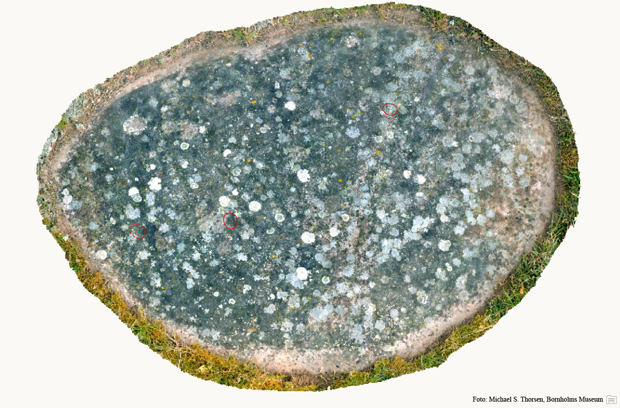 BMR 2262 H38 Fig1.jpg