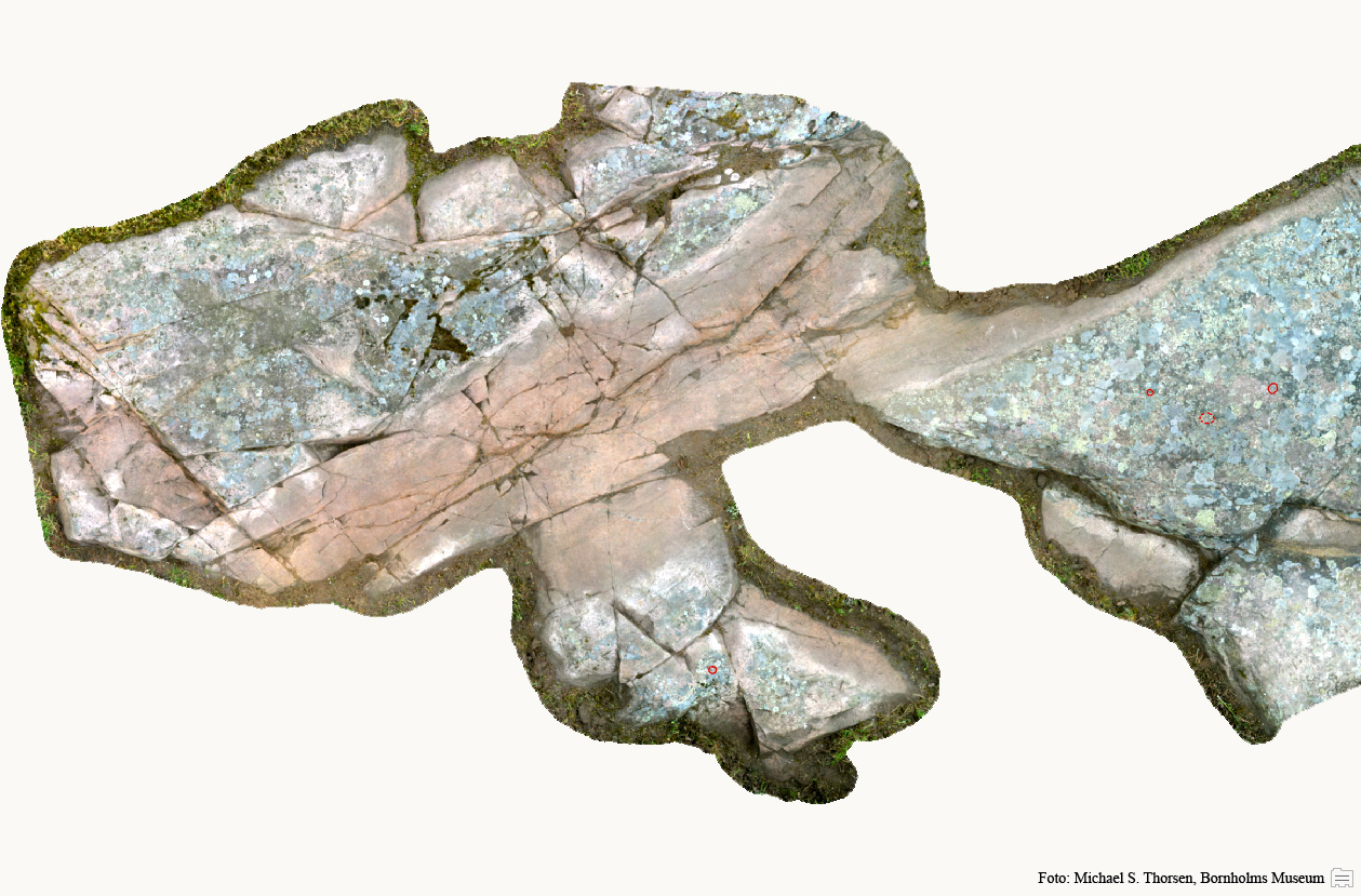 BMR 2262 H47 Fig1.jpg