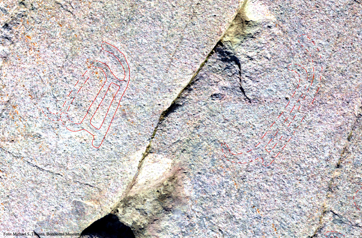 BMR 2262 H40 Omr2 Fig1.jpg