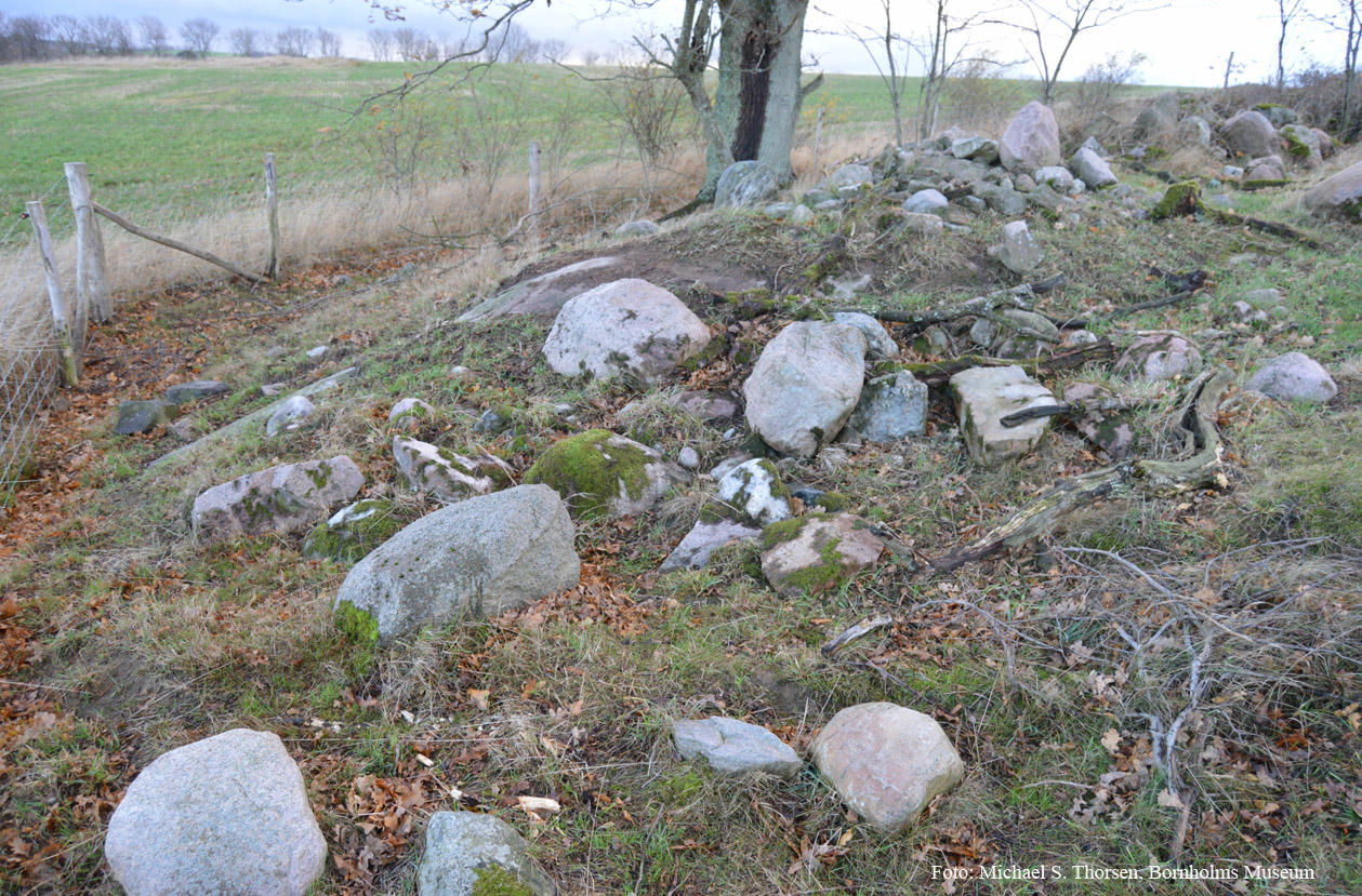 BMR 2262 H76 Fig4.jpg