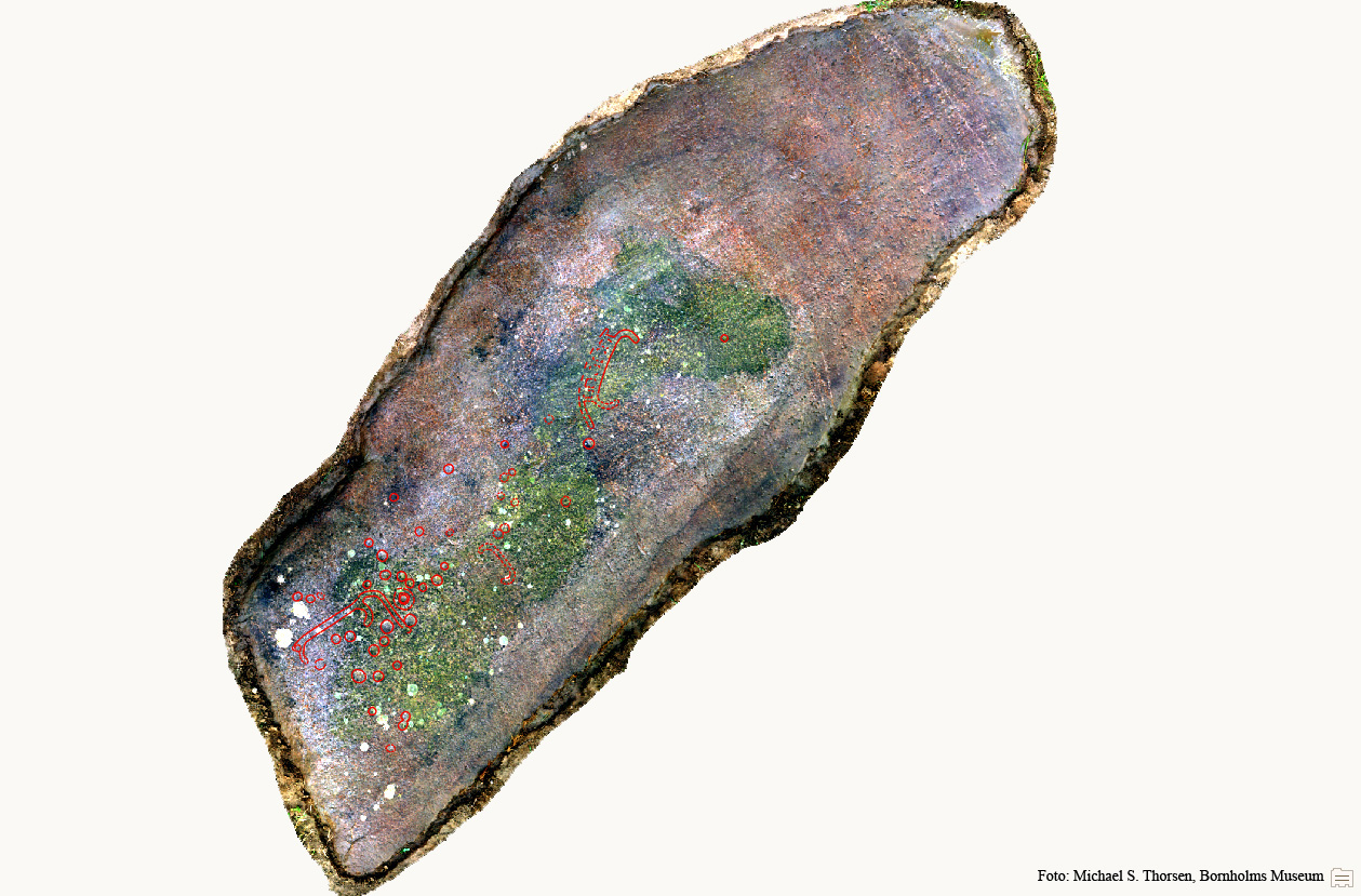 BMR 2262 H10 Fig1.jpg