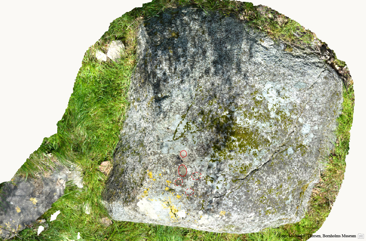 BMR 2262 H30 Fig1.jpg